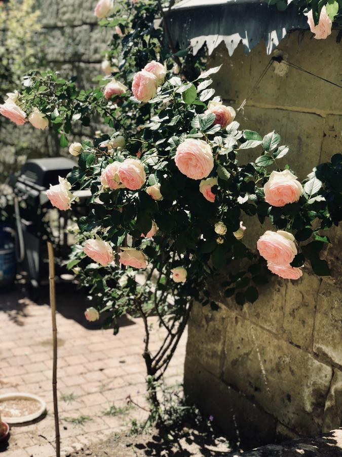 مبيت وإفطار لانغياش A La Fleur De Lys المظهر الخارجي الصورة